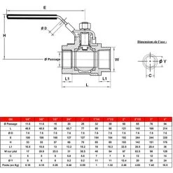 Vanne à Sphère INOX Poignée Plate Bleue PN63 - Femelle 3/8" (12/17) - Sferaco -SFERACO Soldes 3502887 2