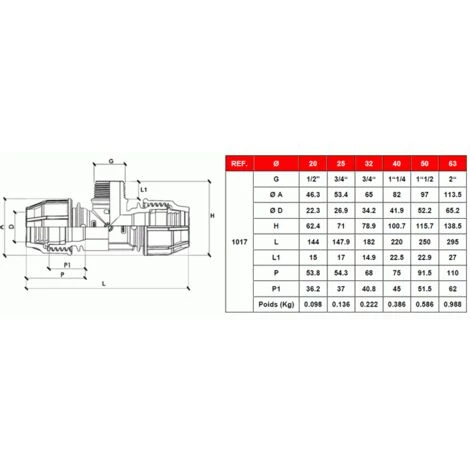 SFERACO Raccord Plastique Tube PE Ø25 - Raccord En Té Fileté Mâle 3/4" (20/27) 4 SFERACO Raccord Plastique Tube PE Ø25 - Raccord En Té Fileté Mâle 3/4" (20/27) – Image 2